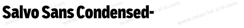 Salvo Sans Condensed字体转换